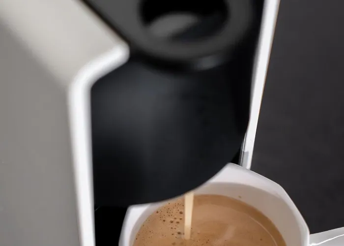 Ina Rent - Czysta Delux 3*